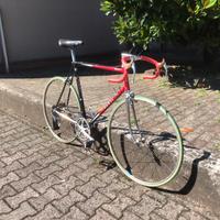 Bicicletta Mino Denti mod. Master