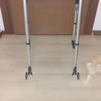 Girello deambulatore