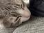 Immagine 4