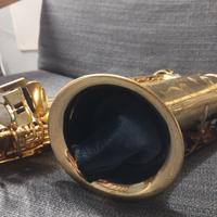 custodia chiver Sax contralto