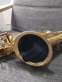 custodia chiver Sax contralto