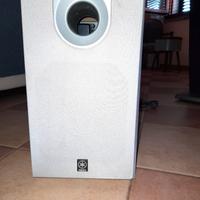 subwoofer 