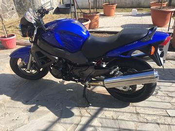 Honda x 11 anno 2001