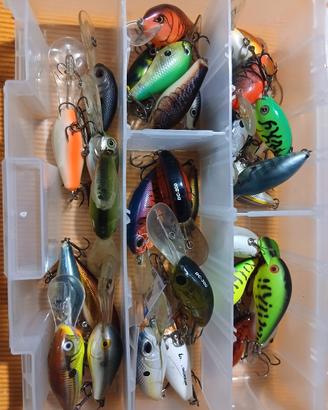 Lotto Crankbait black bass