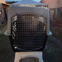 Kennel cane taglia grande