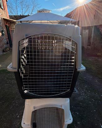 Kennel cane taglia grande