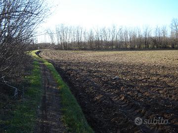 Terreno agricolo, Robbiate mq 6.035
