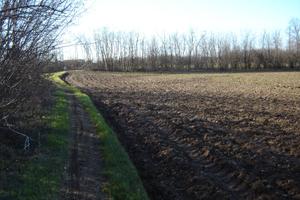 Terreno agricolo, Robbiate mq 6.035