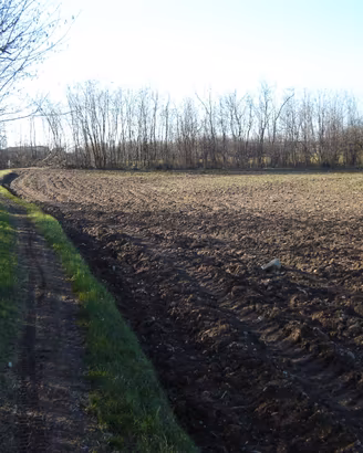 Terreno agricolo, Robbiate mq 6.035