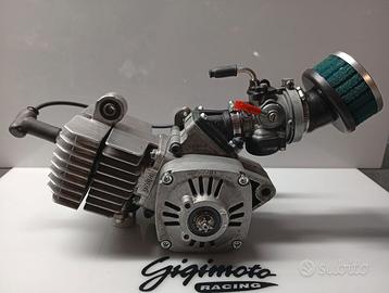 Motore Minimoto Polini 6,2 HP CIV
