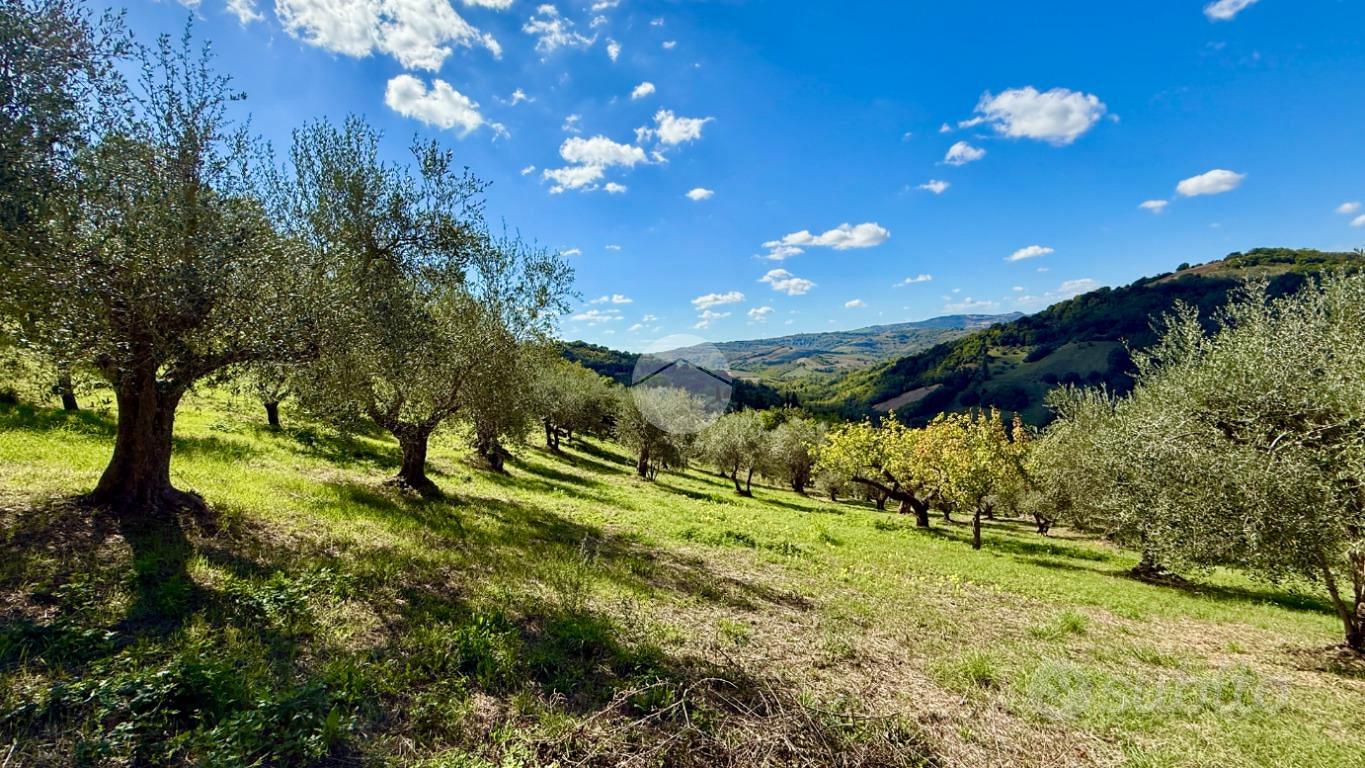 TER. AGRICOLO A SALUDECIO - Vista 2