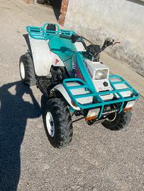 Quad polaris 250 2t