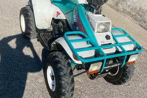 Quad polaris 250 2t