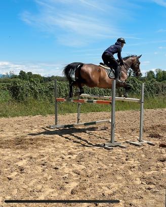 Cavallo