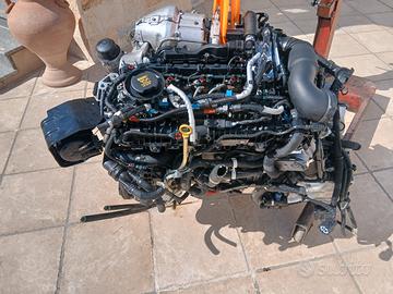 motore completo avoque 2018