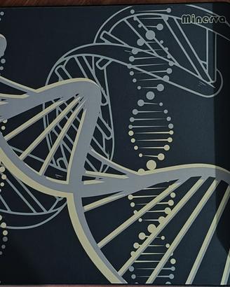 X-Raypad Minerva gaming mousepad