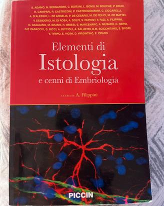 Libro