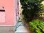 Immagine 22