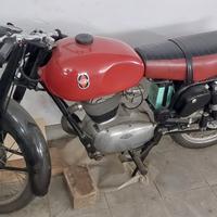 Gilera Altro modello - 1956