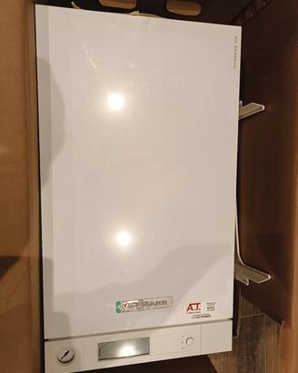caldaia viessmann vitodens 100 w