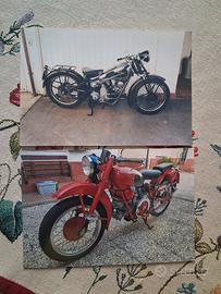 moto guzzi sport