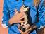 Immagine 4