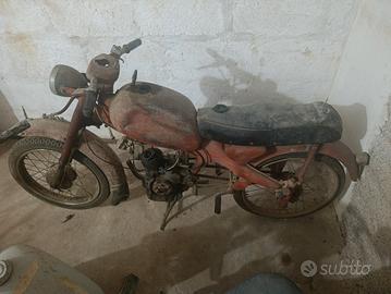 motom junior Sport 