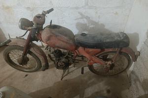 motom junior Sport 
