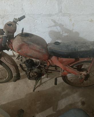 motom junior Sport 