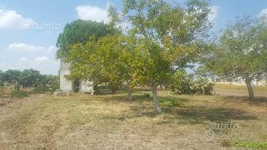 Vano rurale/civile con terreno agricolo