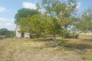 Vano rurale/civile con terreno agricolo