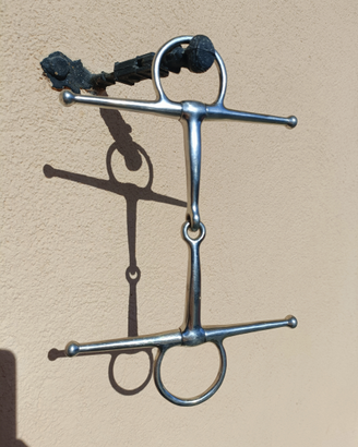 Cavallo