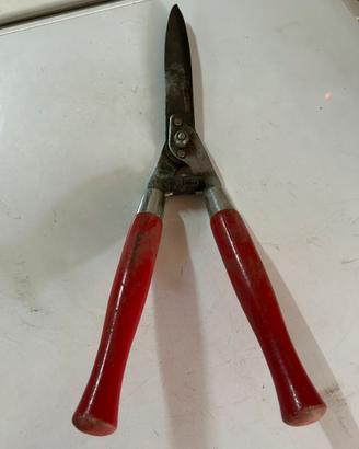 Forbici potatura