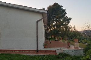 Villa-rustico zona Noto con 5 ettari di uliveto