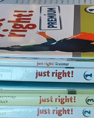 JUST RIGHT! 1 2 3 PREMIUM