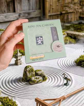 Mini Giardino Zen x Tavolo Asian Arts NUOVO Relax