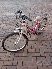 Bicicletta