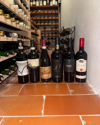 Lotto 6 bottiglie vino rosso