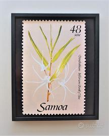 Quadro francobollo Samoa con cornice