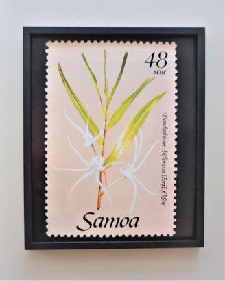 Quadro francobollo Samoa con cornice