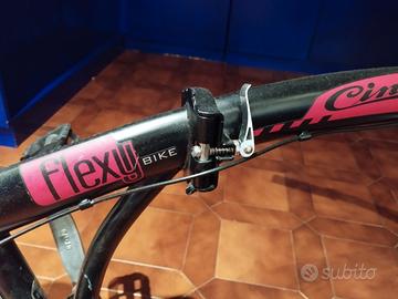 Bicicletta pieghevole