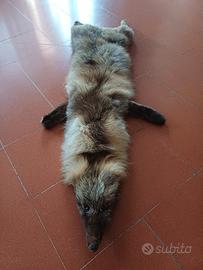 stola sciarpa pelliccia volpe