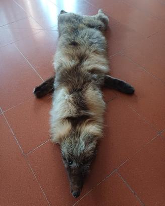 stola sciarpa pelliccia volpe