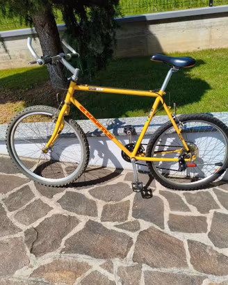  Mountain bike Kastle