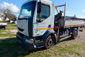 Renault 220 gru e ribaltabile