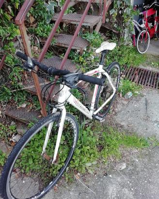 bici bottecchia