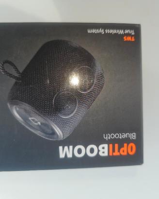cassa Bluetooth 