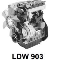 Lombardini Focs LDW903 revisionato