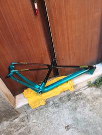 telaio carbonio