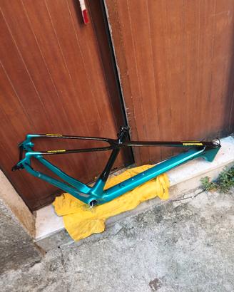 telaio carbonio
